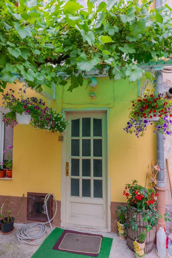 Pine House Daire Braşov Dış mekan fotoğraf